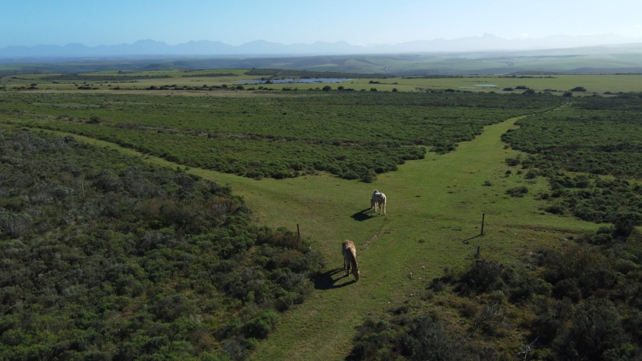 Commercial Property for Sale in Mossel Bay Rural Western Cape